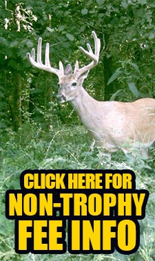 Non-Trophy Fee