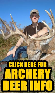 Archery Deer