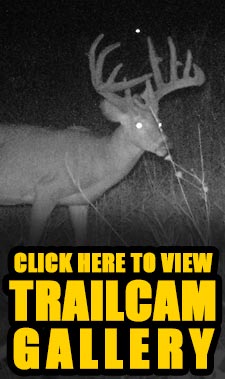 Click here to view trailcam