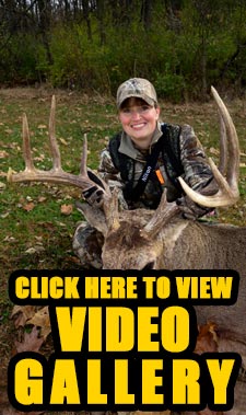 Click here to view video